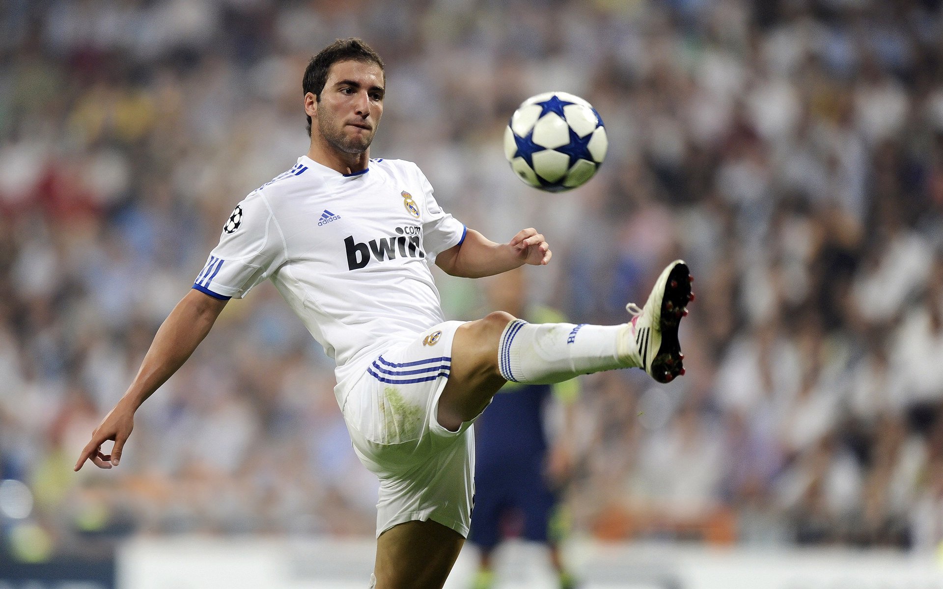 Ming官方宣布败北新规，勇士引发争议！赢得满堂喝彩